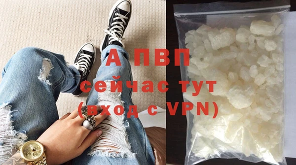 молекула духа Сясьстрой
