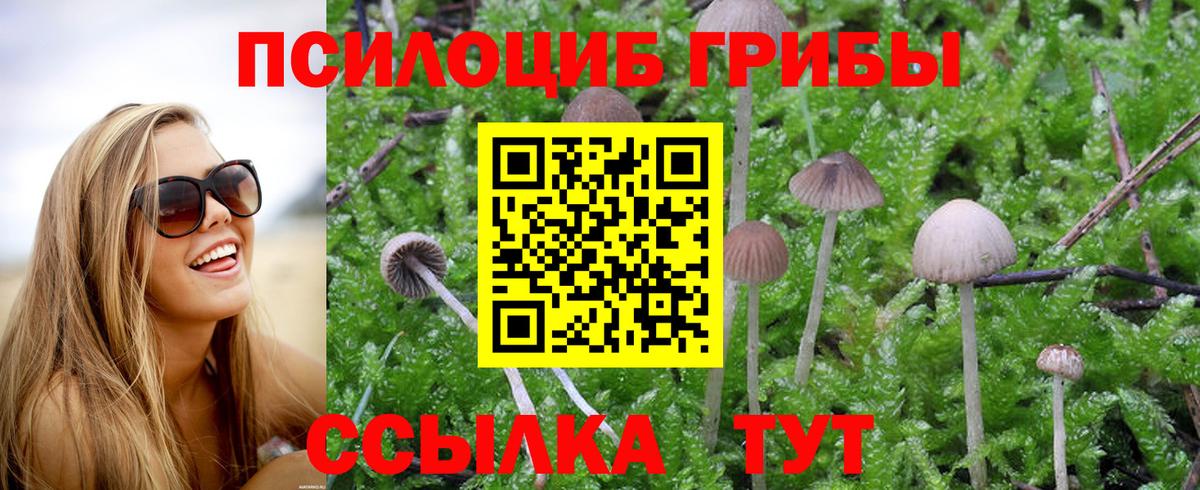 Псилоцибиновые грибы Magic Shrooms  Вход с VPN  Медногорск  Галлюциногенные грибы GOLDEN TEACHER 